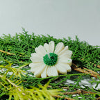 Soft Bloom - Daisy Candles