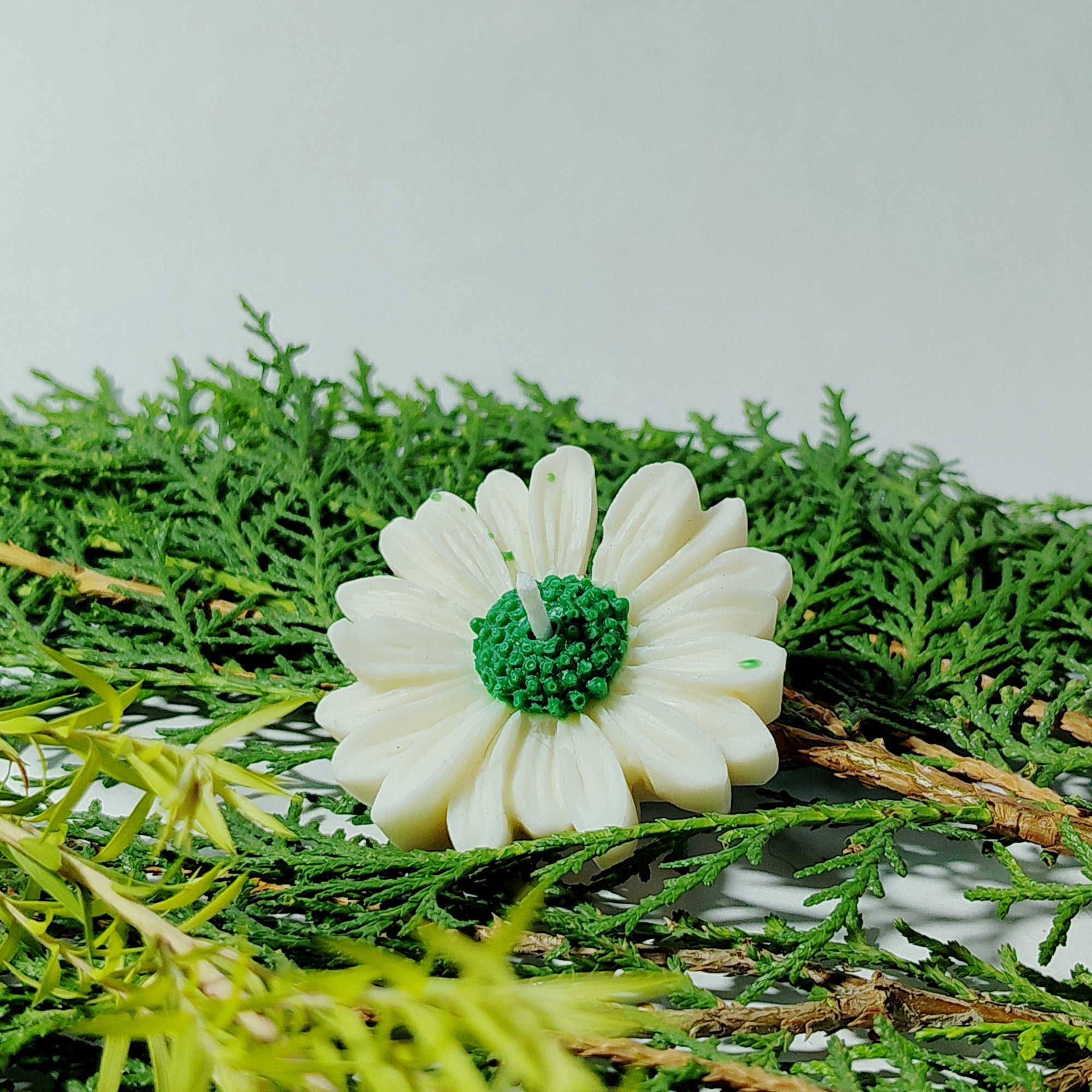 Soft Bloom - Daisy Candles