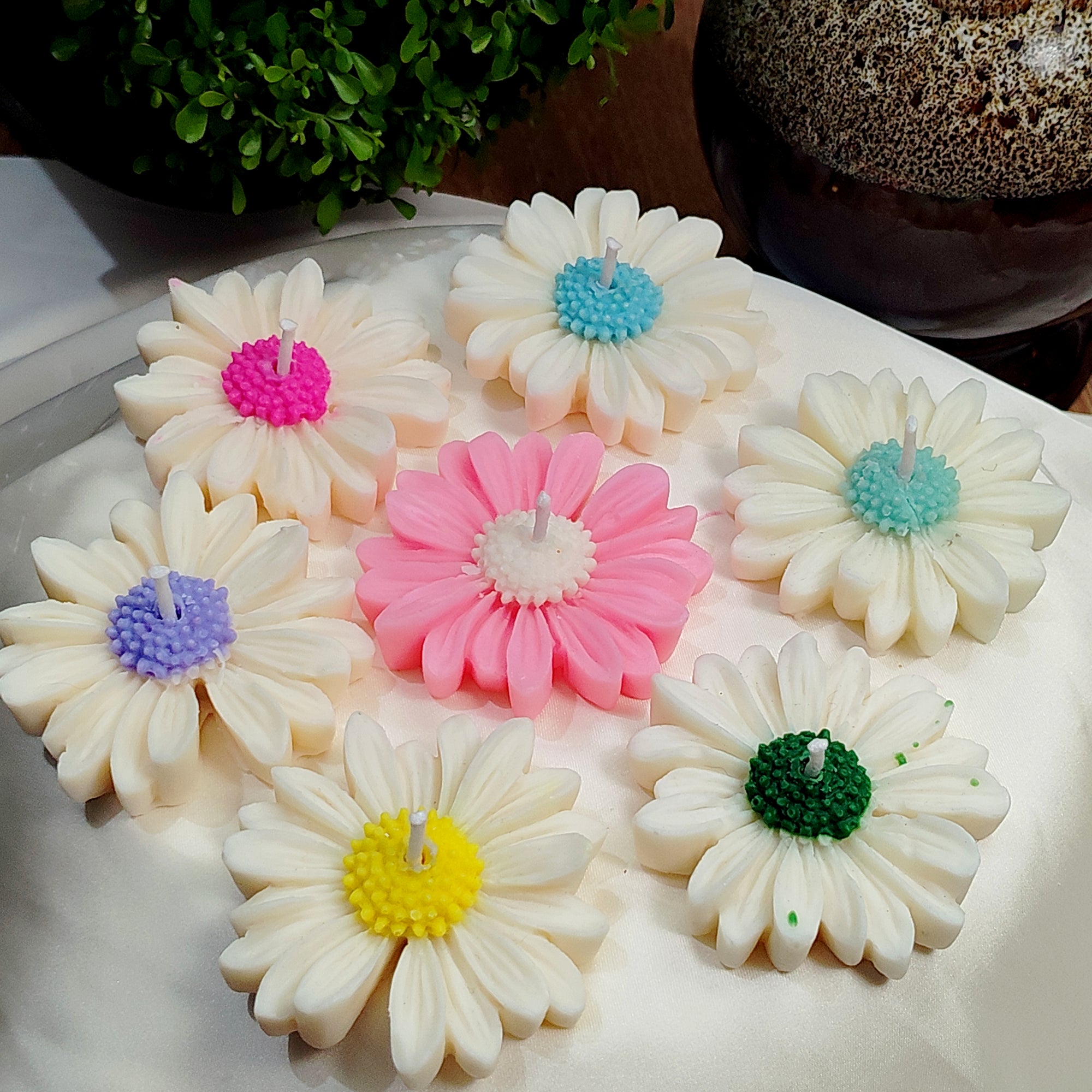 Soft Bloom - Daisy Candles