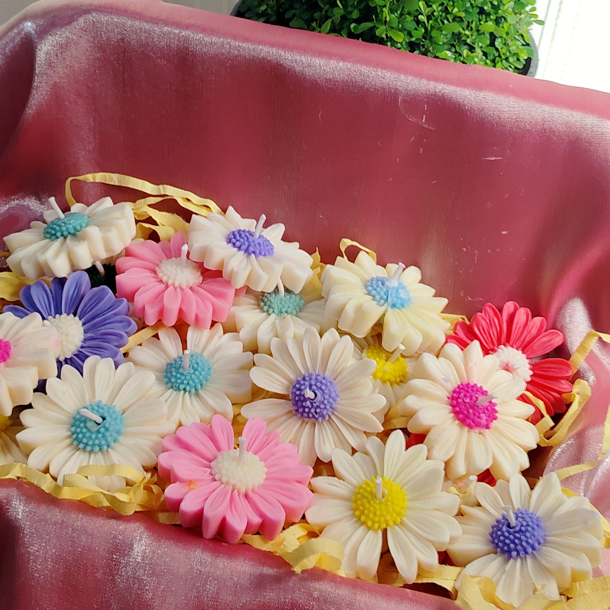 Soft Bloom - Daisy Candles